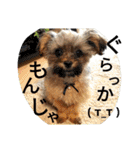 フロドNo.1（個別スタンプ：26）