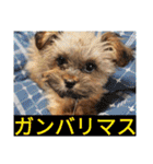 フロドNo.1（個別スタンプ：27）