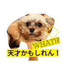 フロドNo.1（個別スタンプ：32）