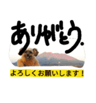 フロドNo.1（個別スタンプ：33）