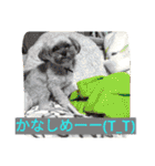 フロドNo.1（個別スタンプ：35）