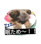 フロドNo.1（個別スタンプ：38）