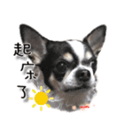 4LoveDogs（個別スタンプ：3）