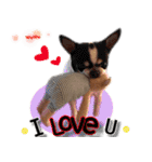 4LoveDogs（個別スタンプ：5）