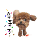 4LoveDogs（個別スタンプ：7）
