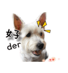 4LoveDogs（個別スタンプ：8）