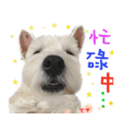4LoveDogs（個別スタンプ：9）