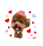 4LoveDogs（個別スタンプ：13）