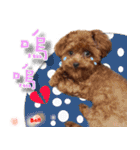 4LoveDogs（個別スタンプ：20）