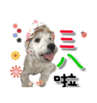 4LoveDogs（個別スタンプ：21）