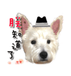 4LoveDogs（個別スタンプ：22）