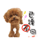4LoveDogs（個別スタンプ：28）