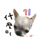 4LoveDogs（個別スタンプ：32）