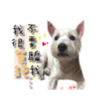 4LoveDogs（個別スタンプ：35）