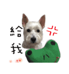 4LoveDogs（個別スタンプ：39）