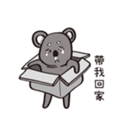 Koala's life 2（個別スタンプ：16）