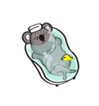 Koala's life 2（個別スタンプ：28）