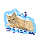 みやおちやん（個別スタンプ：4）