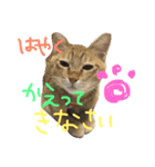 みやおちやん（個別スタンプ：5）