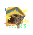 みやおちやん（個別スタンプ：7）