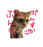 みやおちやん（個別スタンプ：8）