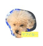 こっちむいて！はみー（個別スタンプ：6）