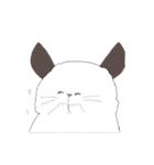 チンチラちんちら（個別スタンプ：3）