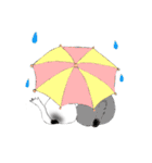 チンチラちんちら（個別スタンプ：8）