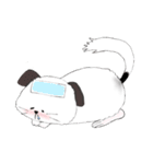 チンチラちんちら（個別スタンプ：18）