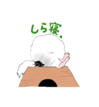 チンチラちんちら（個別スタンプ：22）
