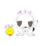 チンチラちんちら（個別スタンプ：26）