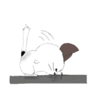 チンチラちんちら（個別スタンプ：31）
