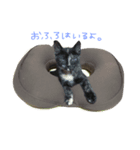 猫の、日常。（個別スタンプ：2）