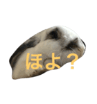 びーたんとあそぼ（個別スタンプ：1）