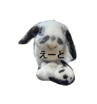 びーたんとあそぼ（個別スタンプ：5）