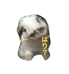 びーたんとあそぼ（個別スタンプ：7）