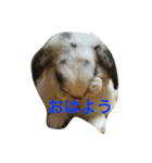 びーたんとあそぼ（個別スタンプ：8）