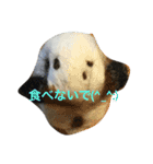 びーたんとあそぼ（個別スタンプ：11）