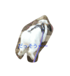 びーたんとあそぼ（個別スタンプ：12）