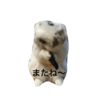 びーたんとあそぼ（個別スタンプ：13）