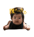 ずんです（個別スタンプ：8）