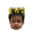 ずんです（個別スタンプ：11）