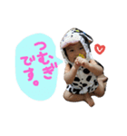 紡希スタンプ（個別スタンプ：8）