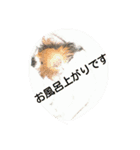 モルモットGO！GO！（個別スタンプ：4）