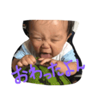 miiiiisuke（個別スタンプ：10）