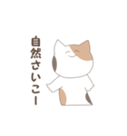 ゆるく使える秋田弁（個別スタンプ：39）