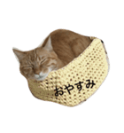 きなこの言葉（個別スタンプ：3）