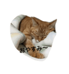 きなこの言葉（個別スタンプ：7）
