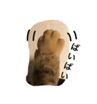 neko.neko.2（個別スタンプ：7）