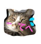 neko.neko.2（個別スタンプ：9）